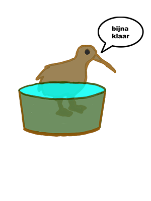 Een bakje waterbak
