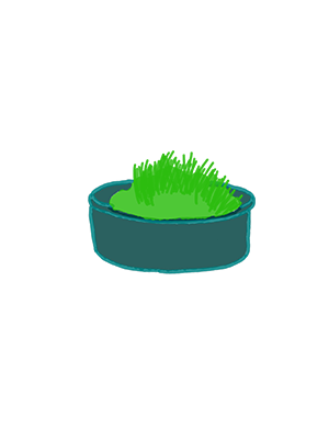 Een bakje gras